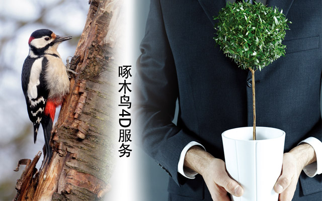 1489632653501167.jpg 6.jpg