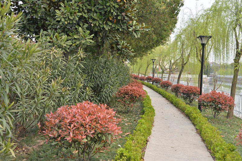 1491488142459561.jpg 微信图片_20170406220504_副本.jpg