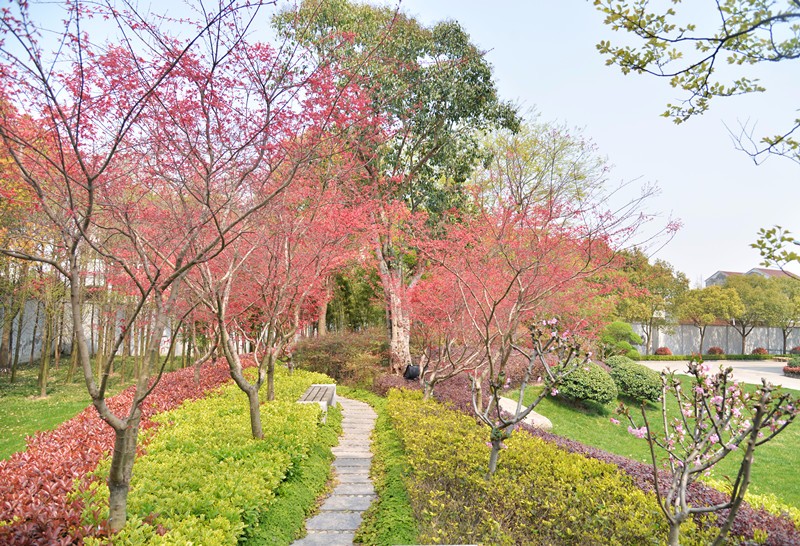 1491488175588175.jpg 微信图片_20170406220512_副本.jpg