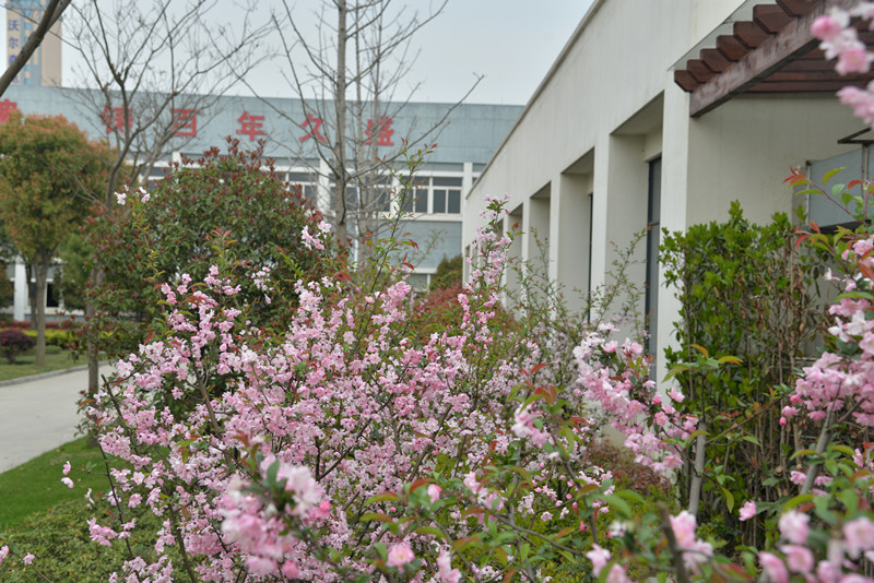 1491488203153200.jpg 微信图片_20170406220520_副本.jpg