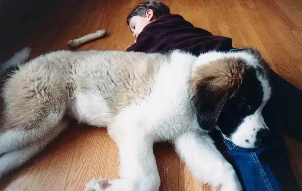 1492672300879788.jpg image003.jpg