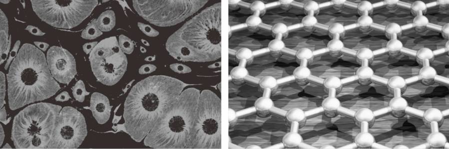 1492672450342240.jpg image007.jpg