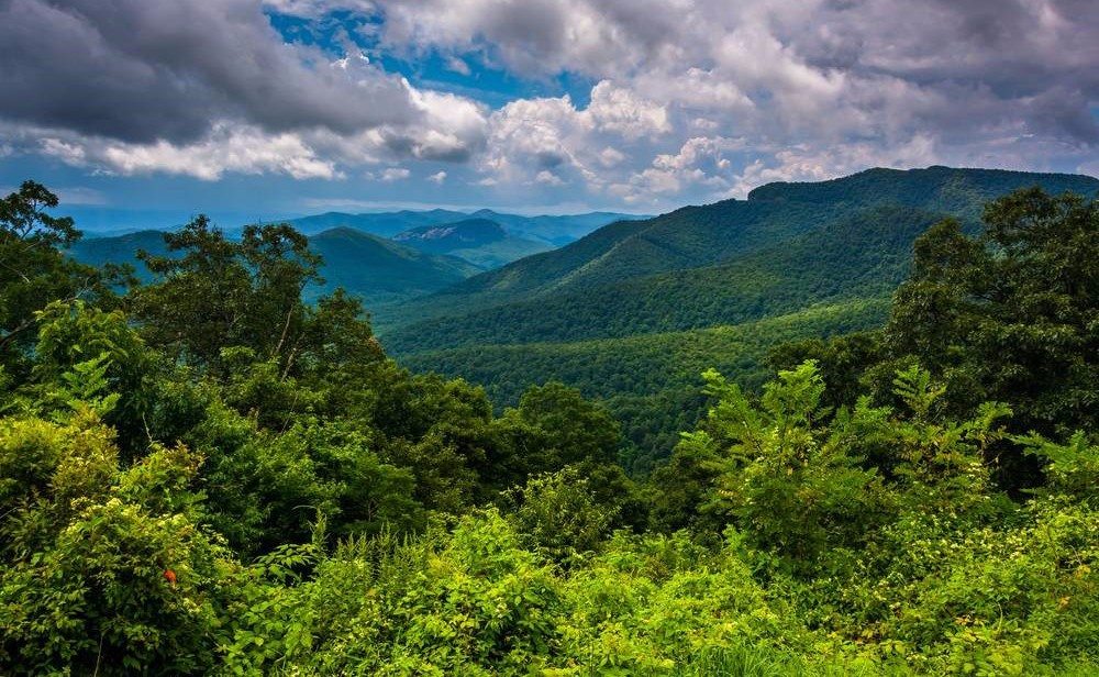 1493866732239377.jpg ul0901-0479.jpg