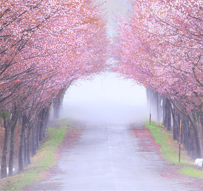 1497234760833219.jpg VCG41183842372_副本2.jpg