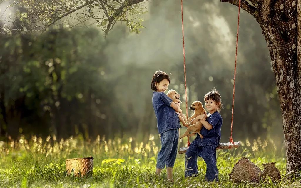 1519539911194169mLBh.jpg 0 (5).jpg