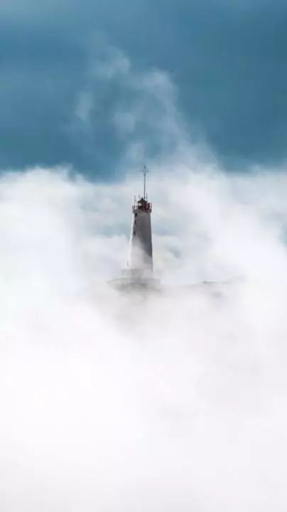 1575698914925640TrAP.png 1575698914925640TrAP.png